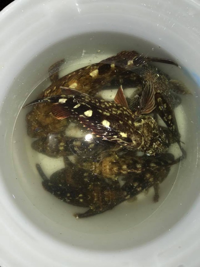 o0720096013968062156