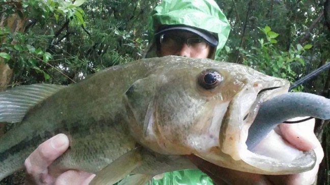 o0960054013966042328