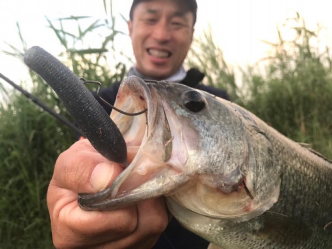 o0960072013959965565