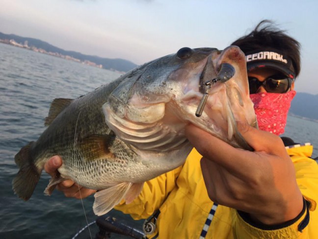 o0960072013960191046