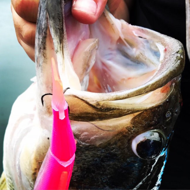 o0960096013950065117