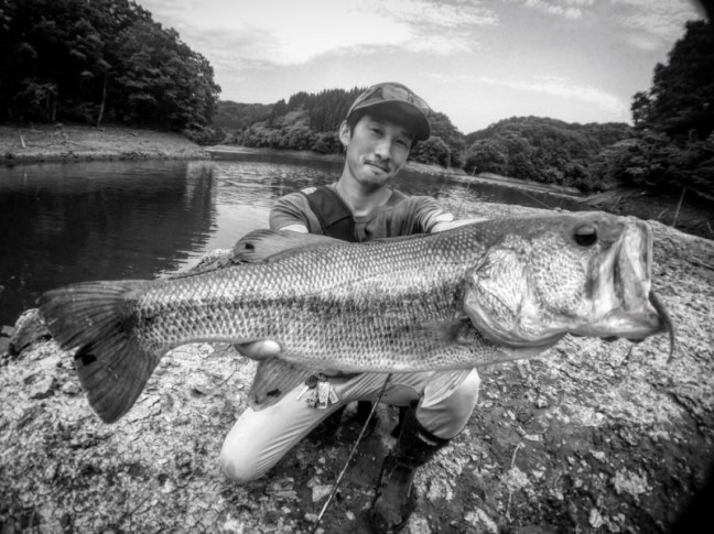 o1000074913962136341