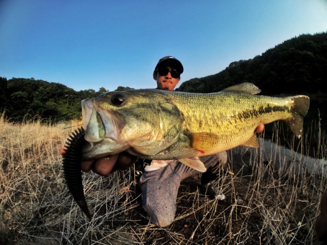 o1000075013967323357