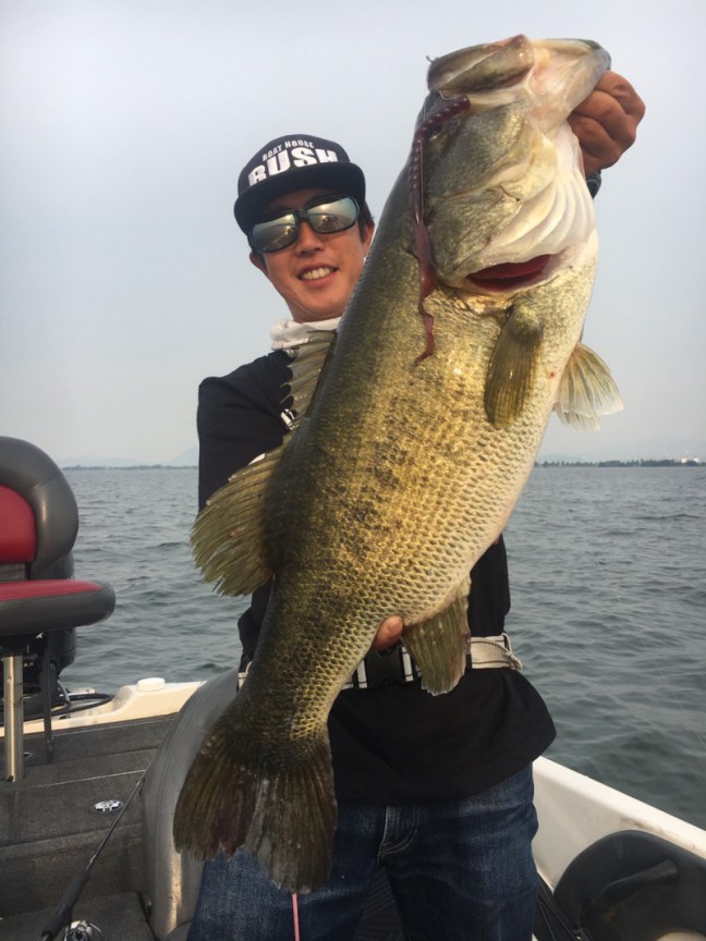 o1108147813951330785