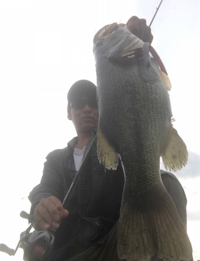 o1574204813959334904