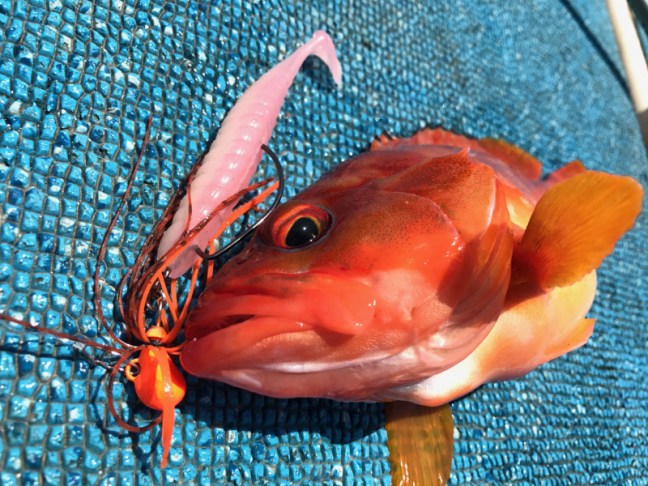 o2016151213951459308