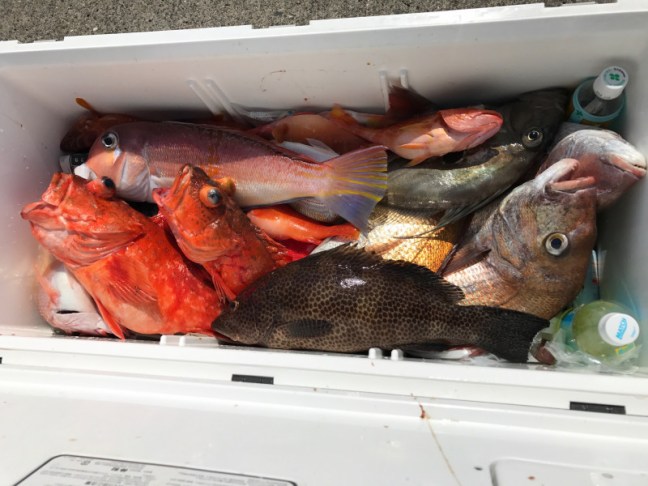 o2016151213951459319