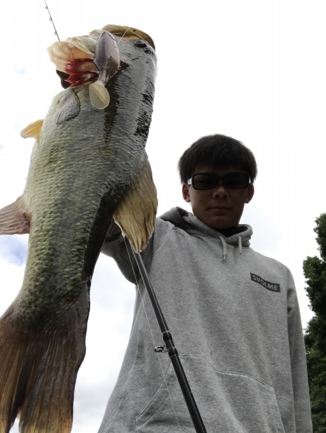 o2320308813948473521