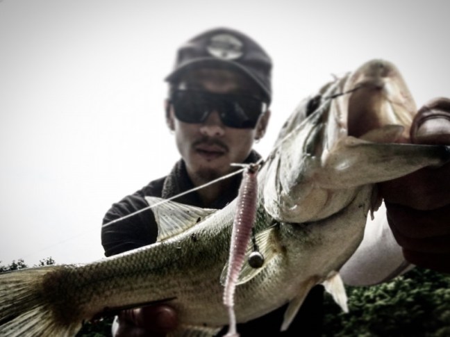 o2576193113951459324