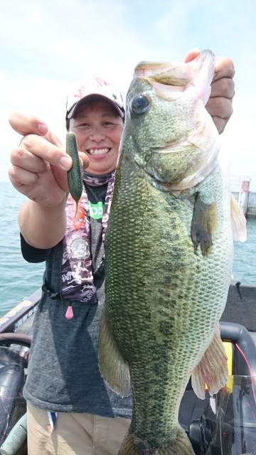 o0360064013979414774