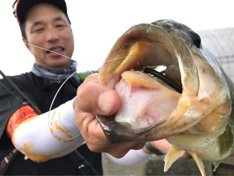 o0480036013974082613