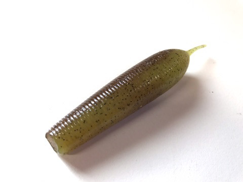 o0480036013987271606