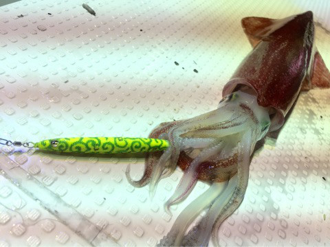 o0480036013988604426