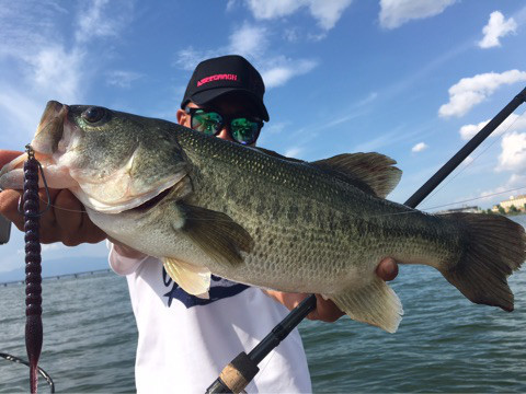 o0480036013989012503