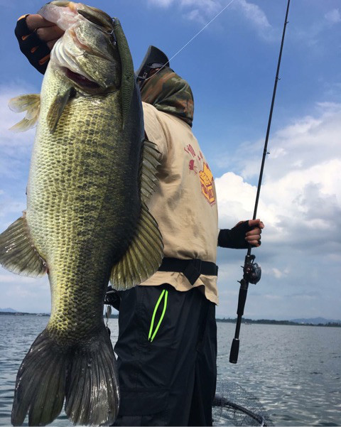 o0480060113980720281