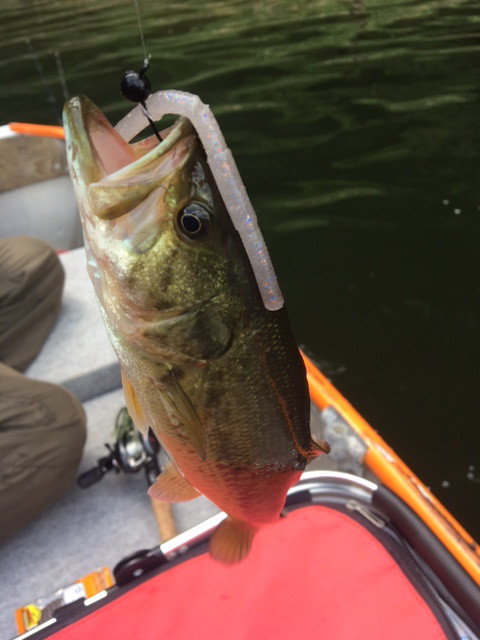 o0480064013984602341