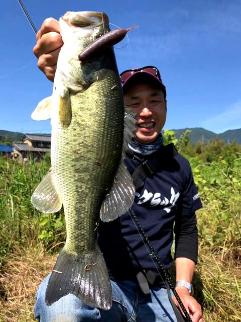 o0480064013990890301