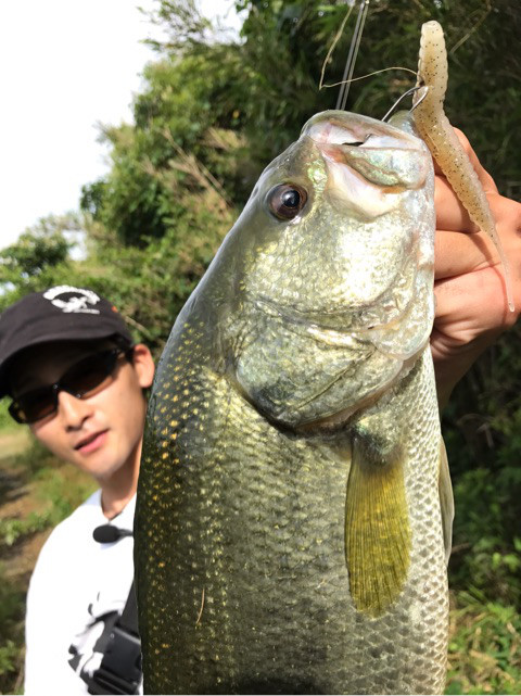 o0480064113977949686