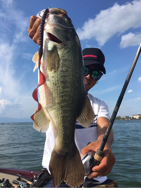 o0480064113989012510