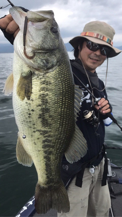 o0480085413977644511