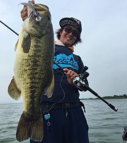 o0526059413984622612