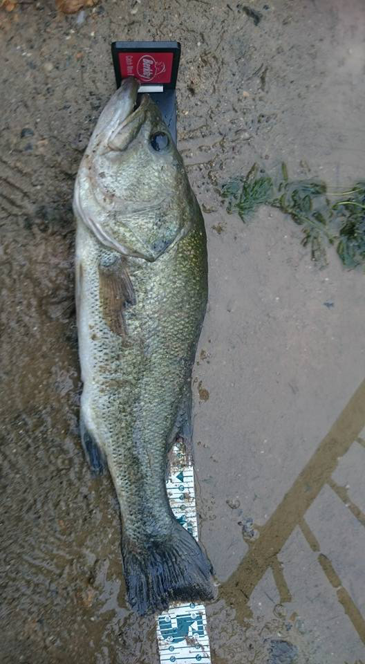 o0528096013972724410