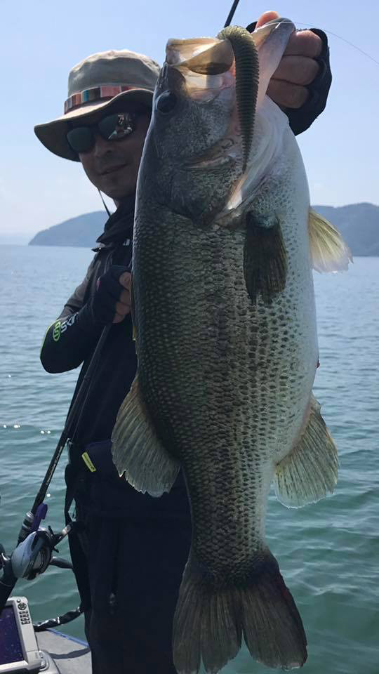 o0540096013977611789