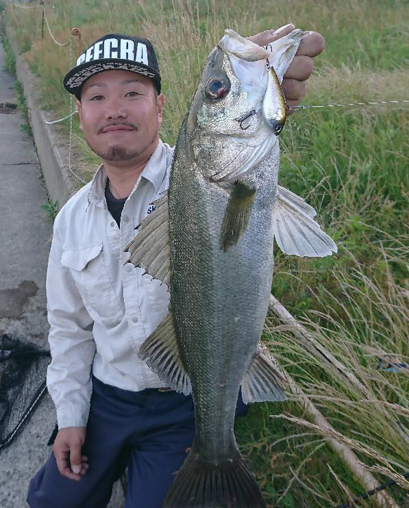 o0597074213971275305