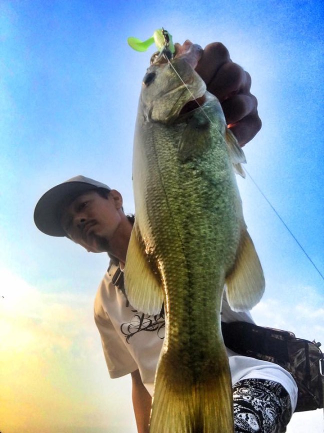 o0720096013983564242