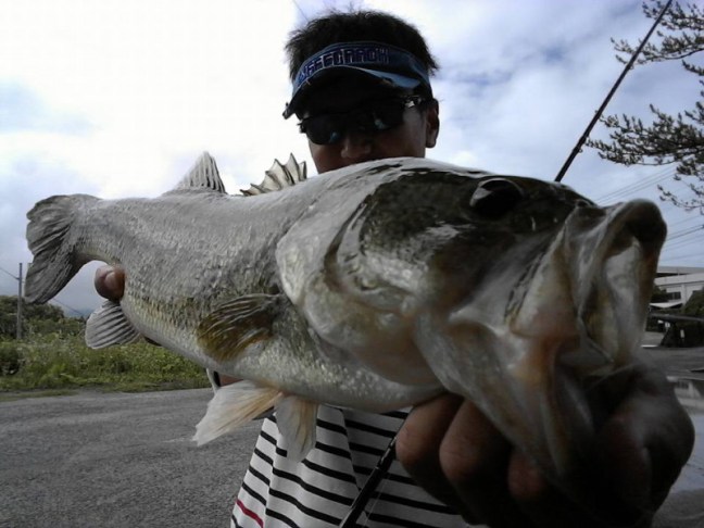 o0960072013970584049