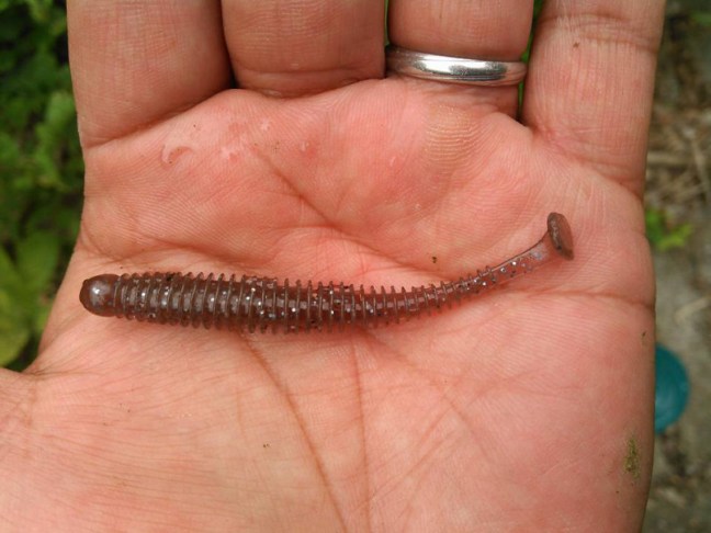 o0960072013976452317