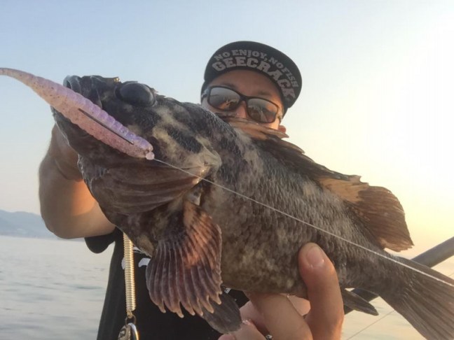 o0960072013977666015