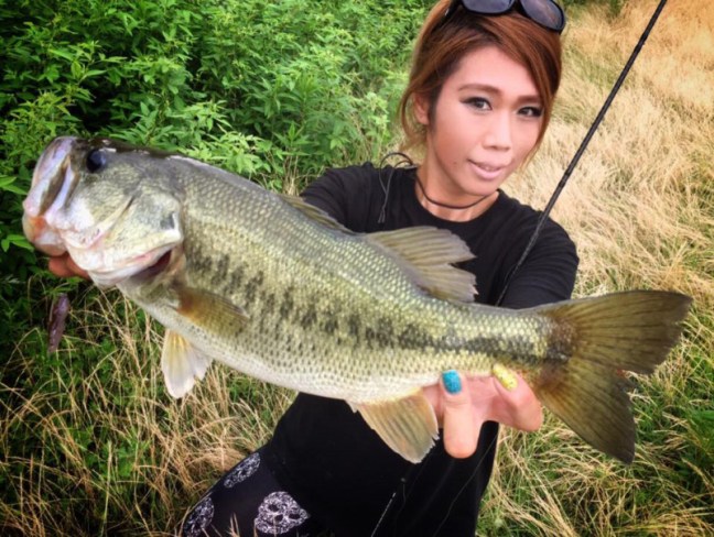 o0960072413981535814