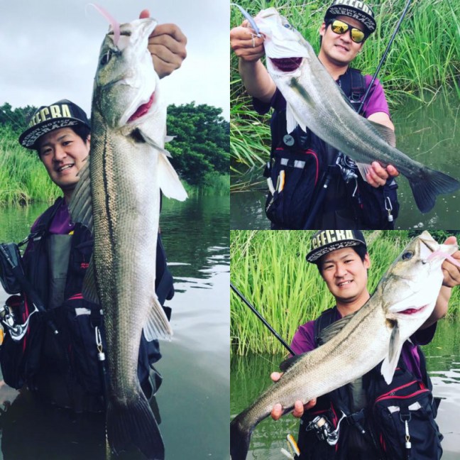 o0960096013988176524