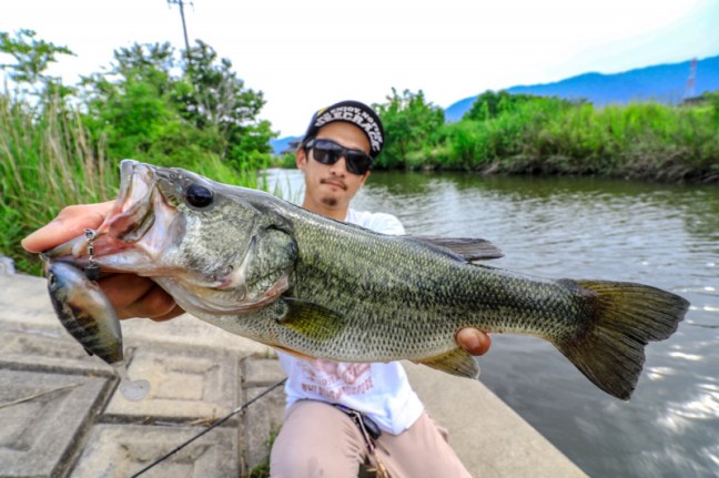 o1000066713970586856