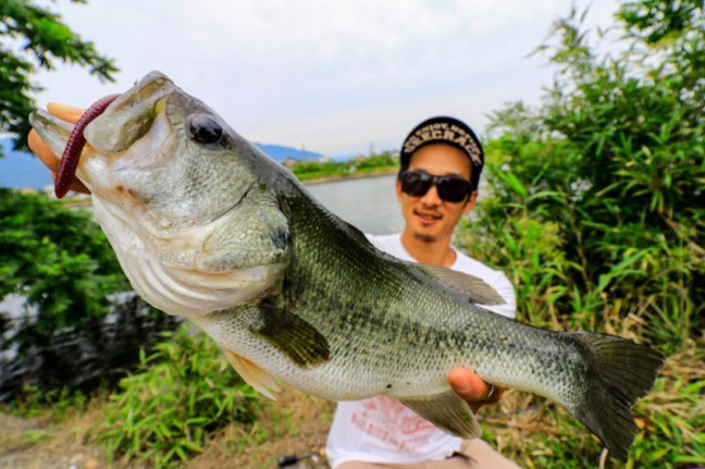 o1000066713970586860