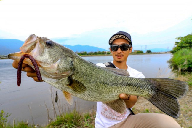 o1000066713970586864