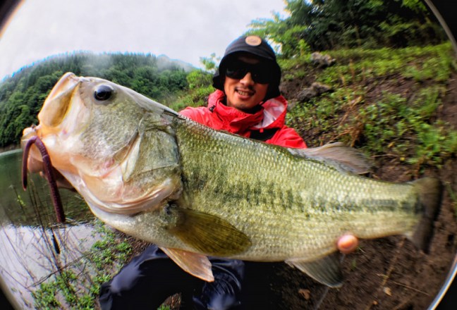 o1000068113973156451