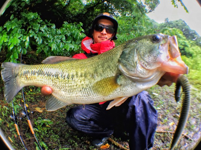 o1000074613973156453