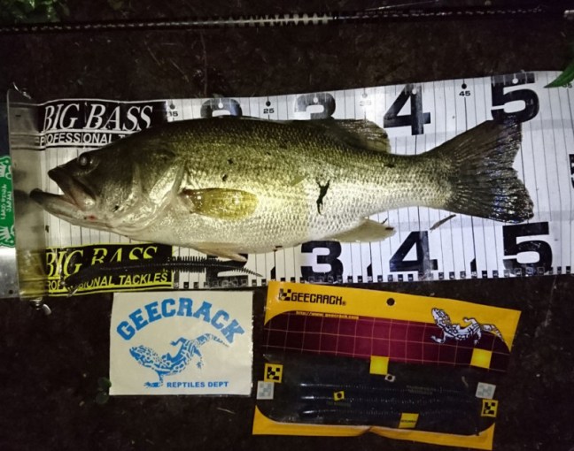 o1000078813979442601