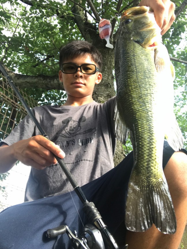 o1000133113977785139