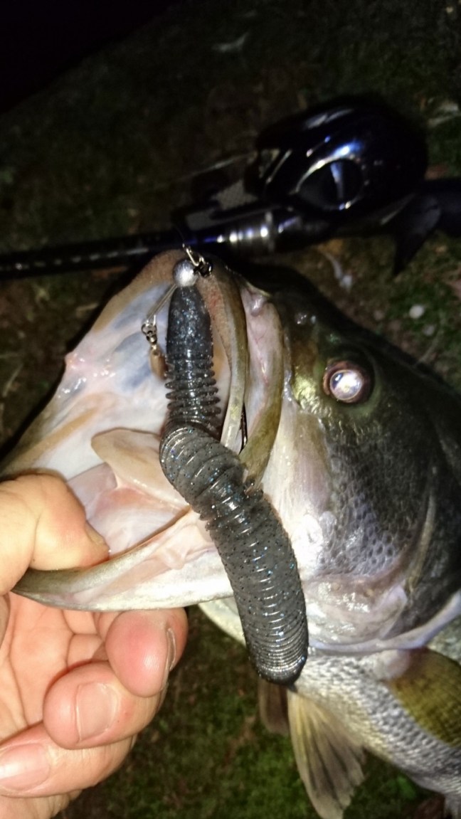 o1000177713979442598