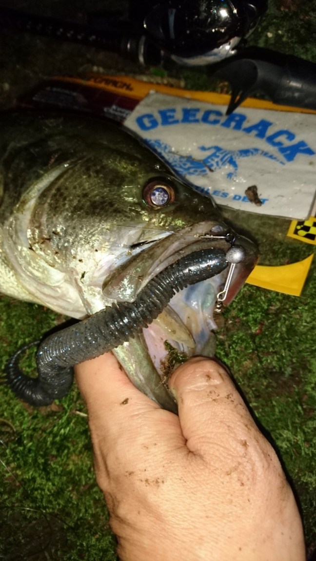 o1000177813979442609