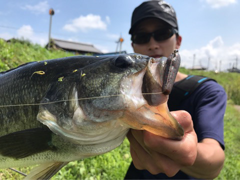 o0480036013979962937