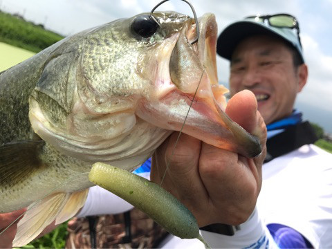 o0480036013994424502