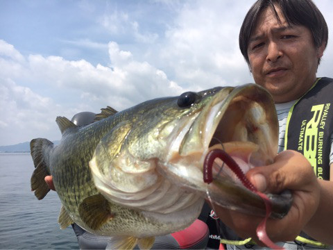 o0480036013996875807