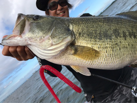 o0480036013996942265