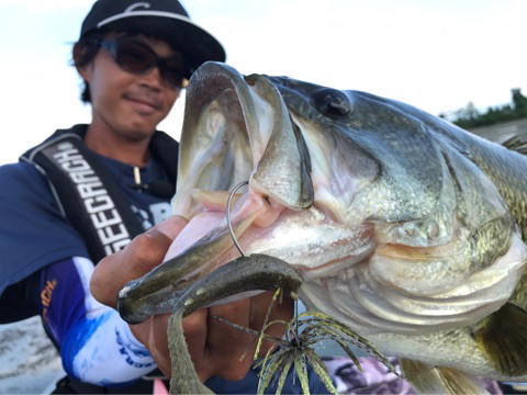 o0480036014008000175