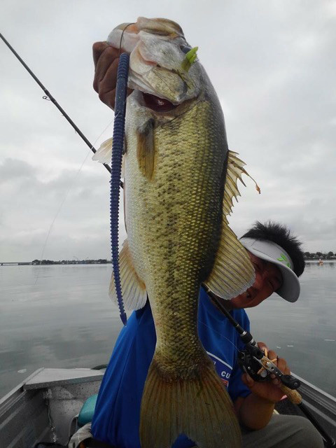 o0480064014012323421