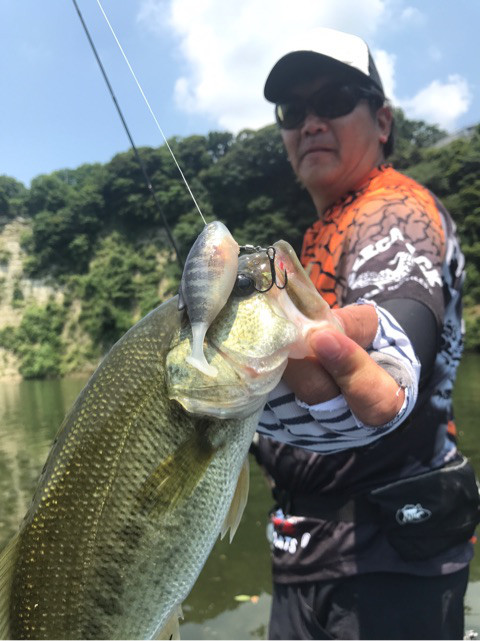 o0480064113978472761